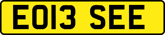 EO13SEE