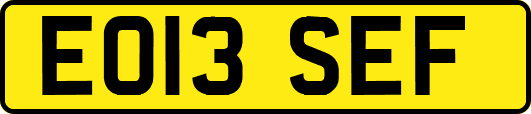 EO13SEF