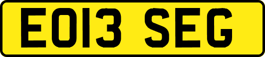 EO13SEG