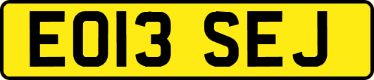 EO13SEJ