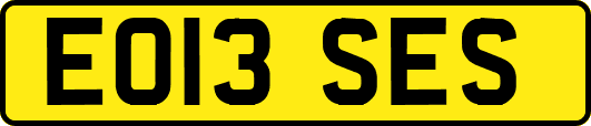 EO13SES