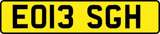 EO13SGH