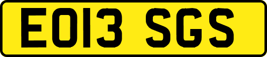EO13SGS