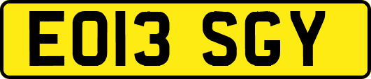 EO13SGY