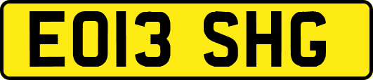 EO13SHG