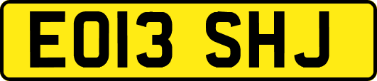 EO13SHJ