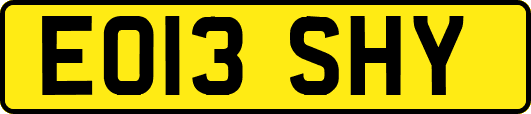 EO13SHY