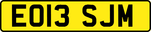 EO13SJM