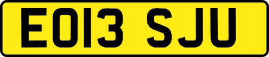 EO13SJU