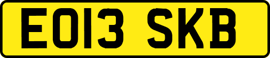 EO13SKB