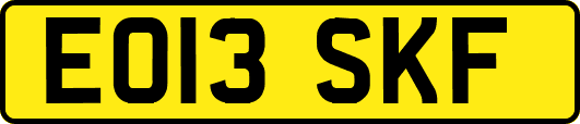 EO13SKF