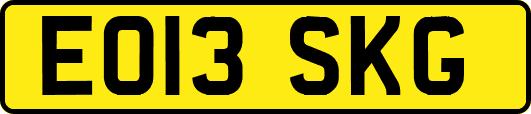 EO13SKG