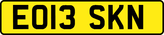 EO13SKN