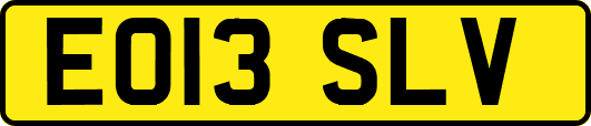 EO13SLV