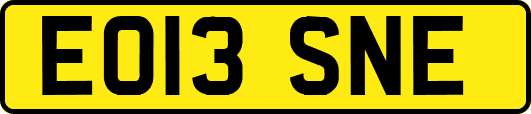 EO13SNE