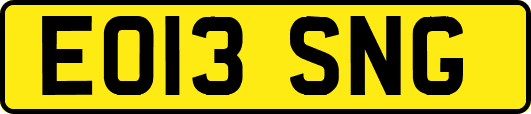 EO13SNG