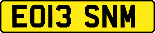 EO13SNM