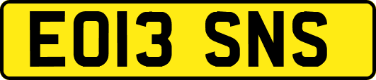 EO13SNS