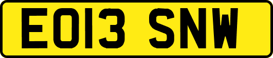 EO13SNW