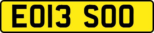 EO13SOO