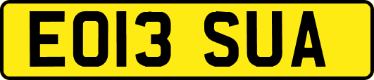 EO13SUA
