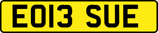 EO13SUE