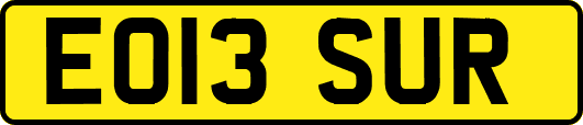 EO13SUR