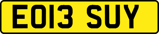 EO13SUY