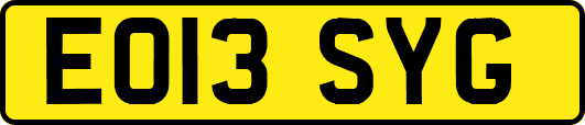 EO13SYG