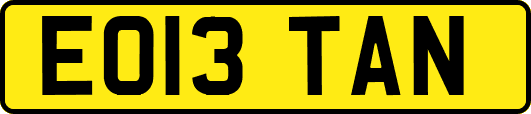 EO13TAN