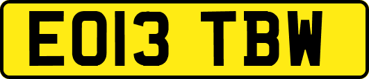 EO13TBW
