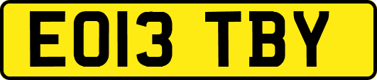 EO13TBY