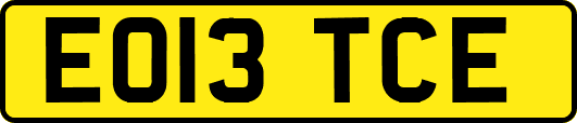 EO13TCE