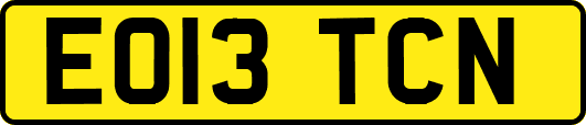 EO13TCN