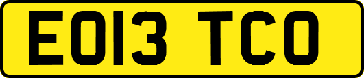 EO13TCO