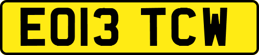 EO13TCW