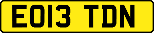 EO13TDN