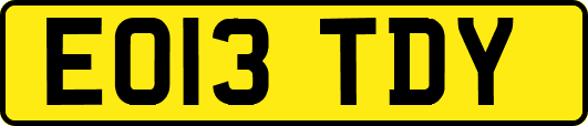 EO13TDY