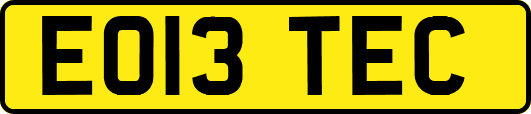 EO13TEC