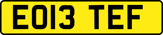 EO13TEF