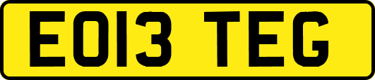 EO13TEG