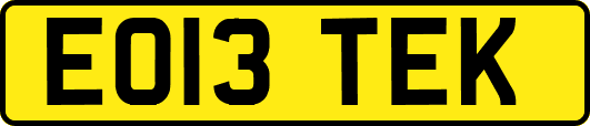 EO13TEK