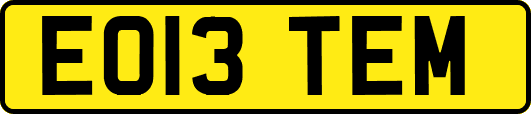 EO13TEM