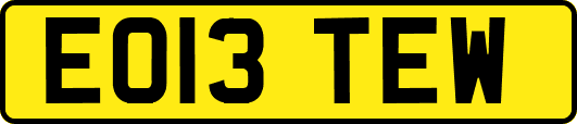 EO13TEW