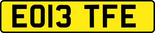 EO13TFE