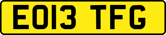 EO13TFG