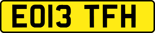 EO13TFH