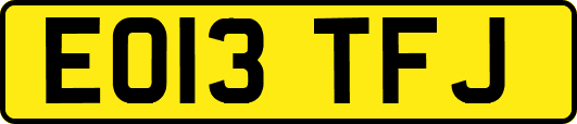 EO13TFJ