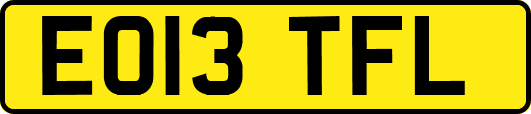 EO13TFL