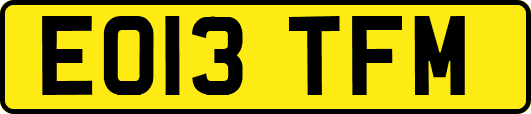 EO13TFM